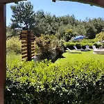 Green Heaven
